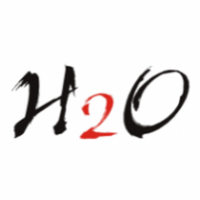 Логотип компании H2O-Моторс
